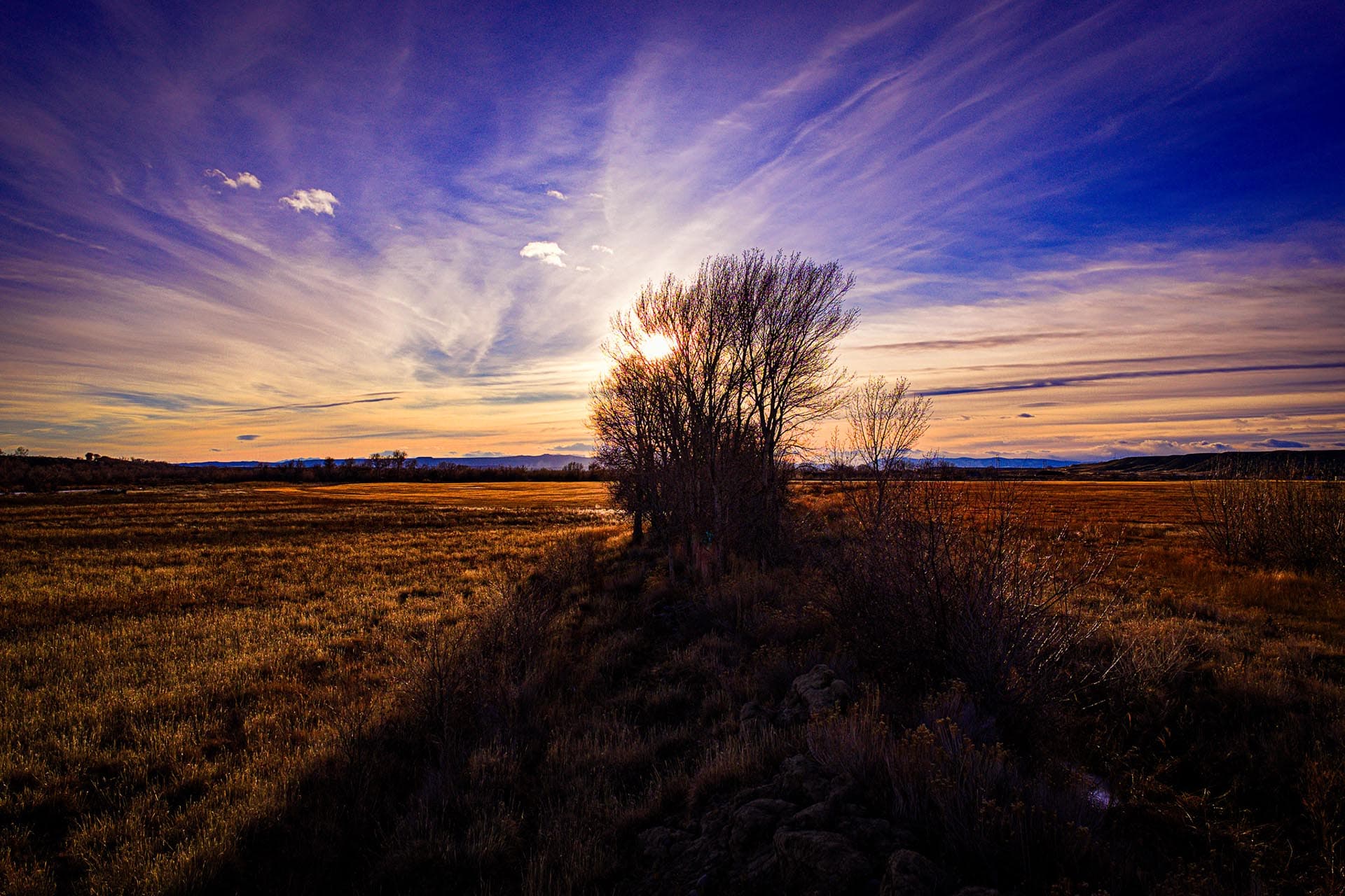 nature wyoming shoshone valley versatility land