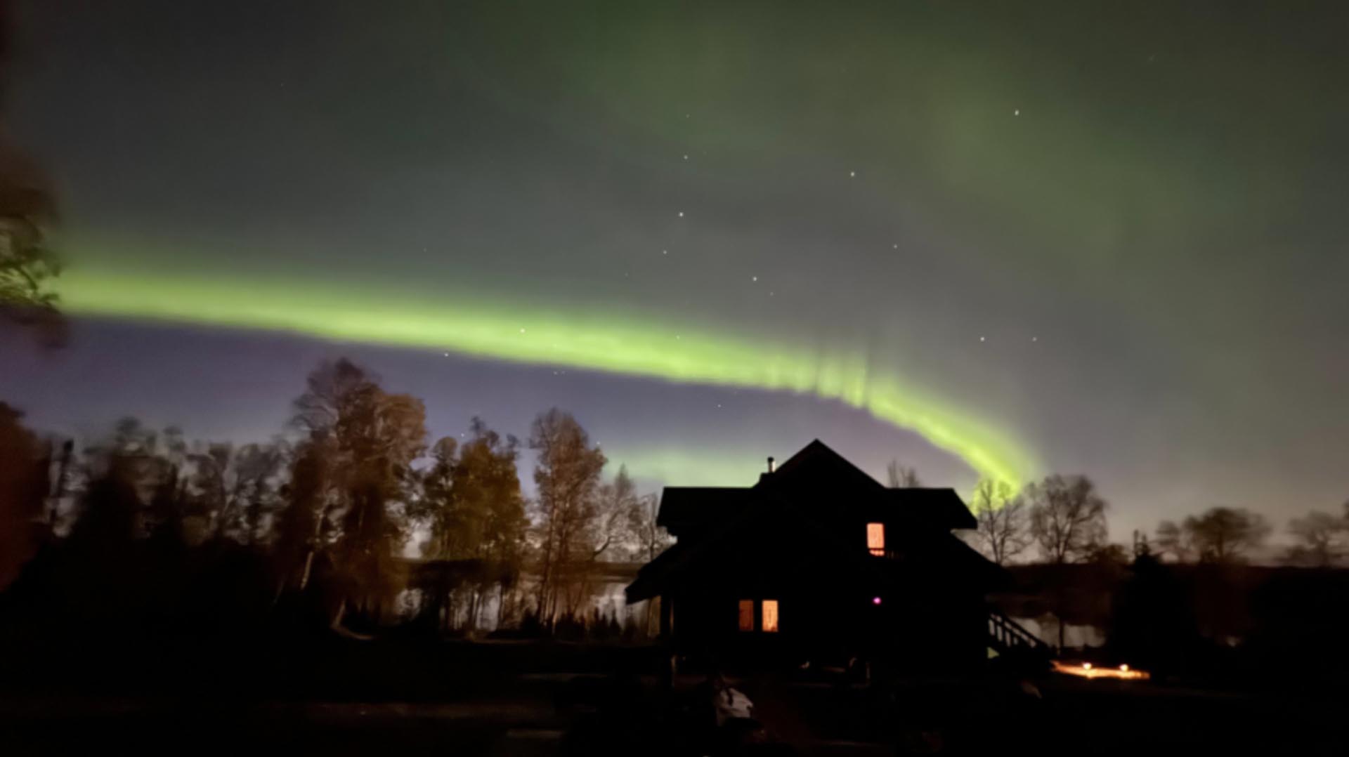 Green aurora borealis arches across the night sky above a silhouetted house and leafless trees.