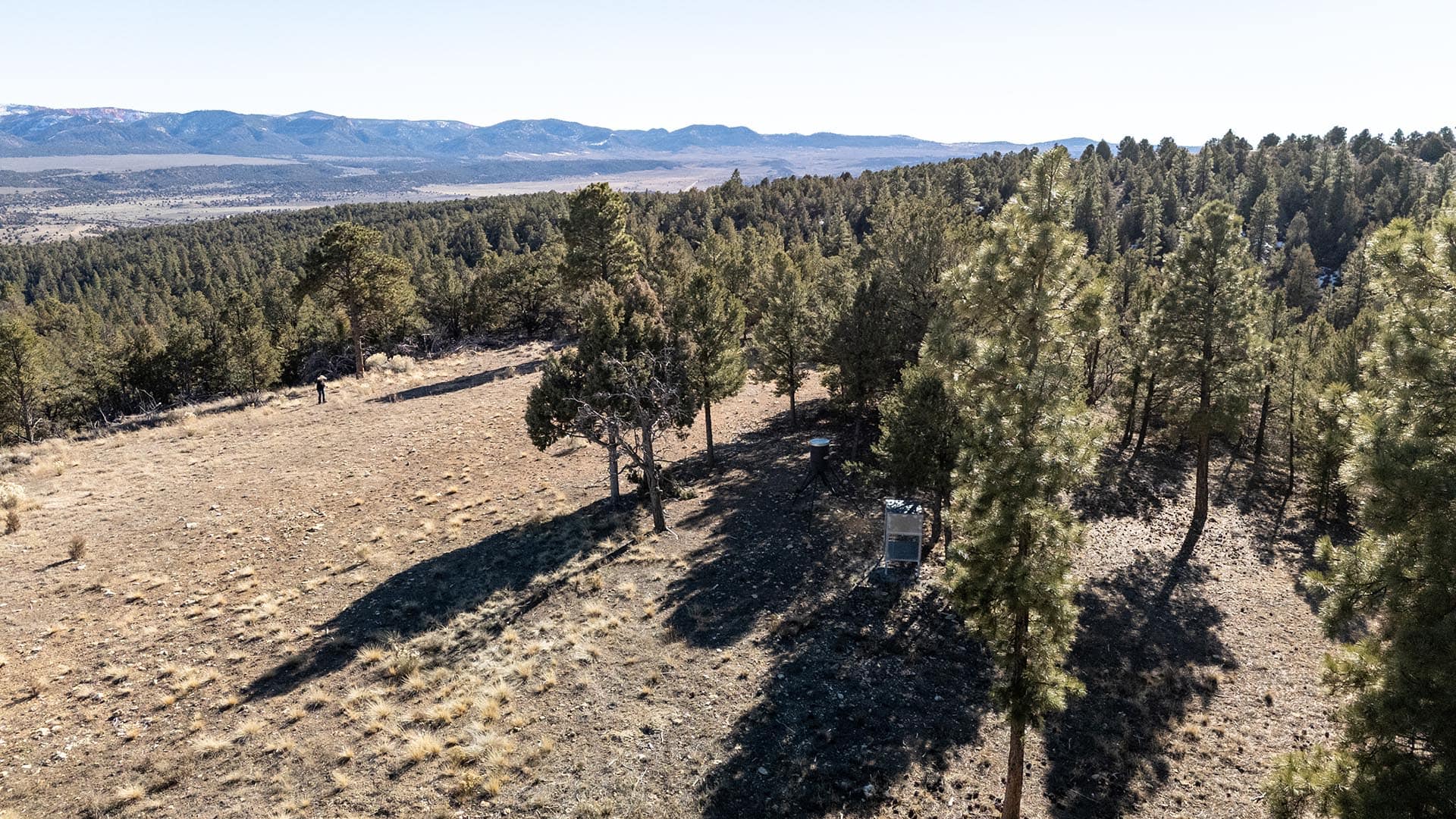 open bench hunting terrain utah mammoth ridge muleys
