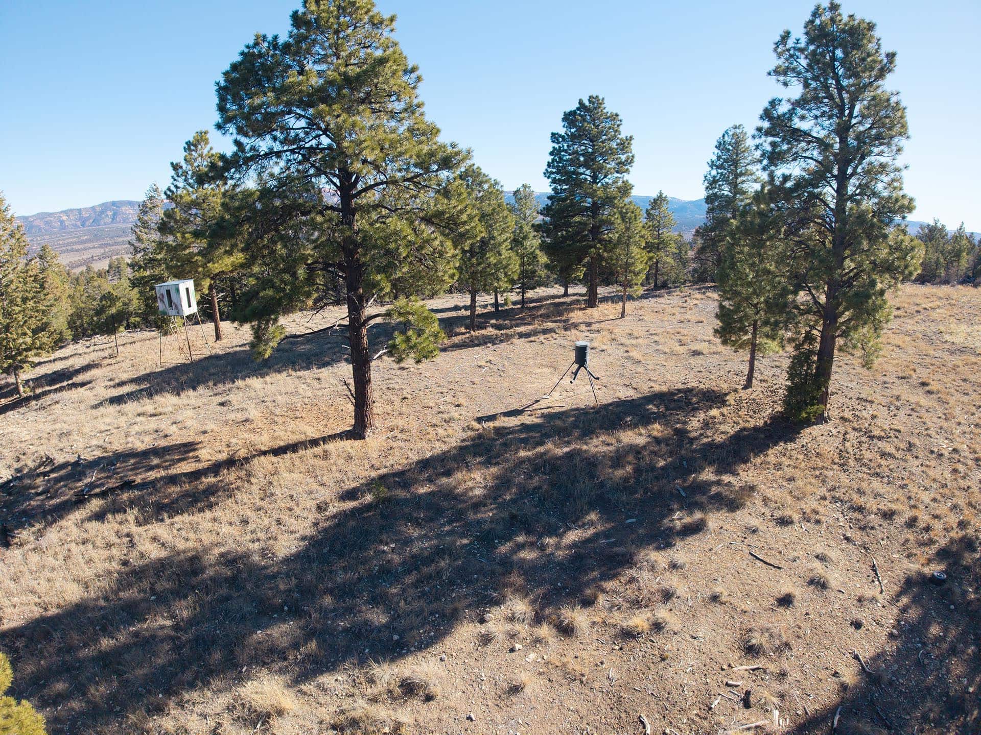 open meadow mule deer habitat utah mammoth ridge muleys