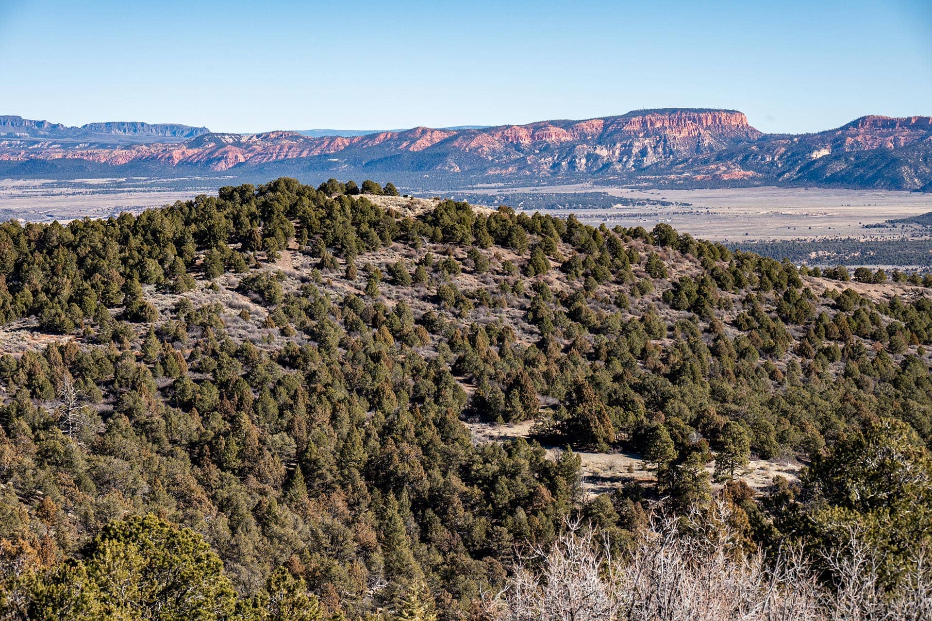 panoramic hunting landscape utah mammoth ridge muleys