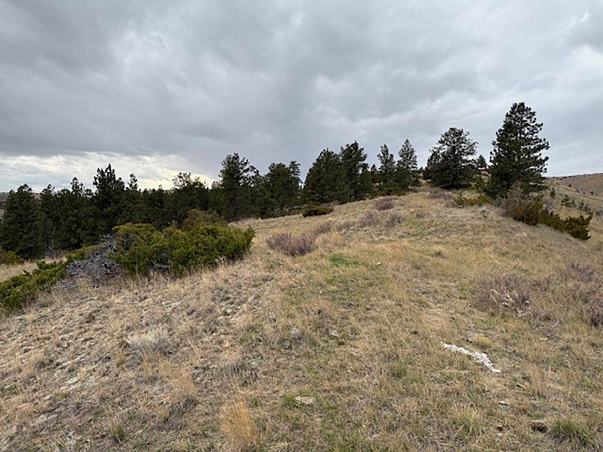 ponds on hill 2 Montana Brumfield Ridge Ranch