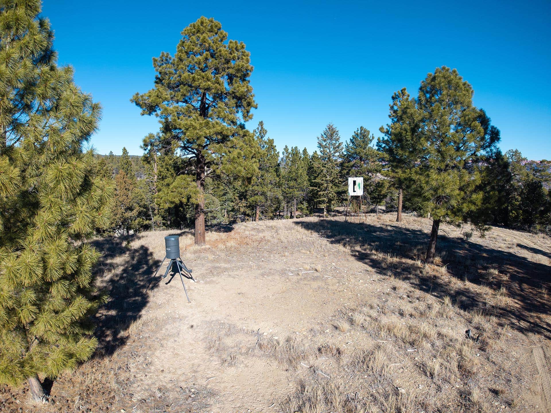 prepared blind location utah mammoth ridge muleys