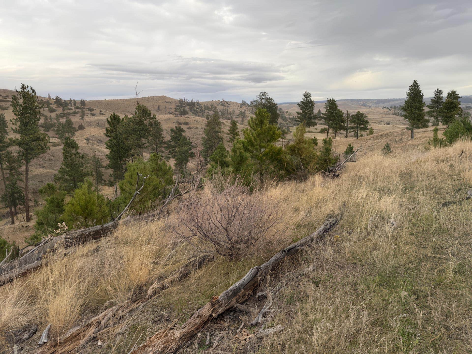 ridge 2 montana Brumfield Ridge Ranch
