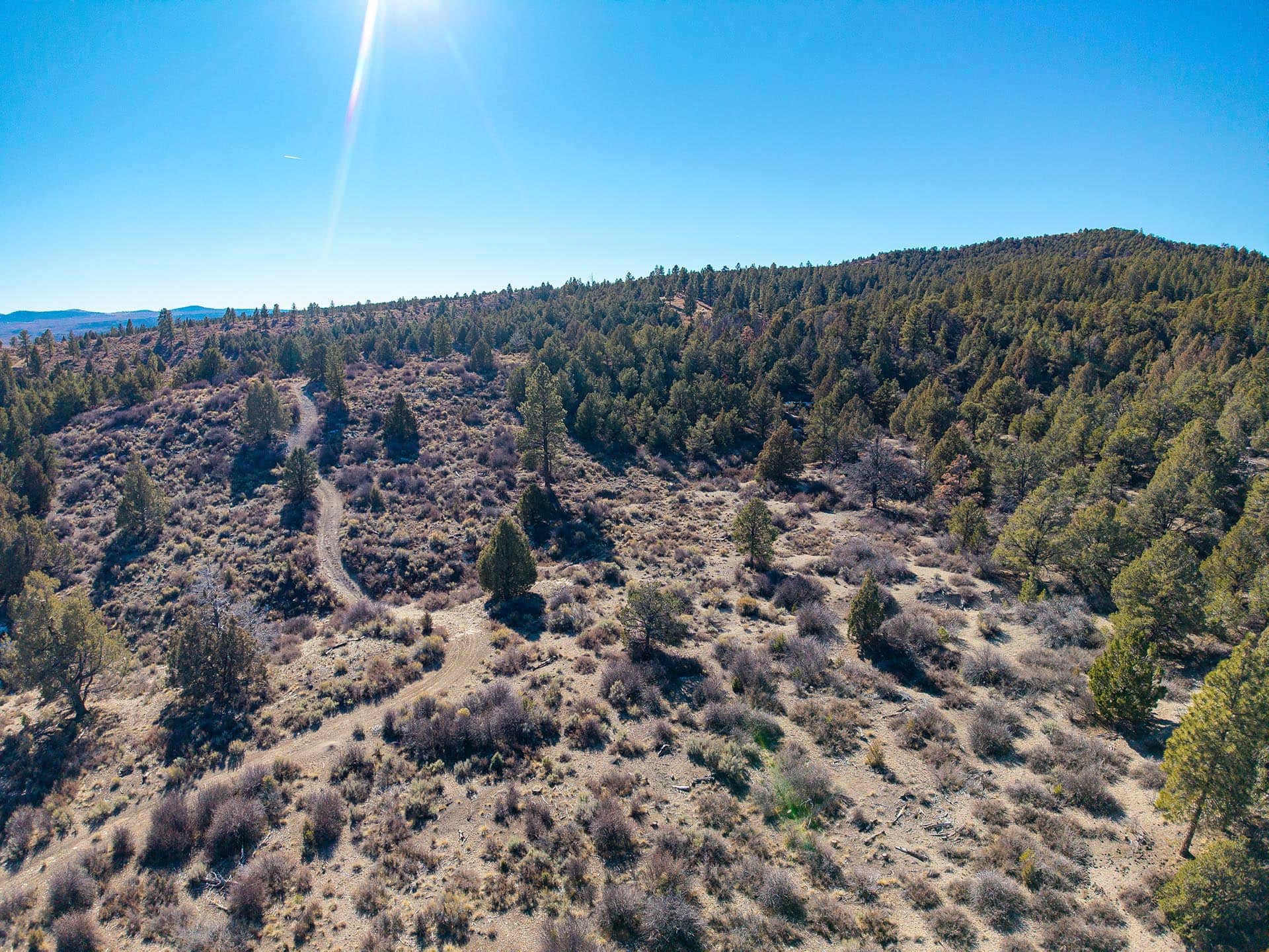 sunlit hunting terrain utah mammoth ridge muleys