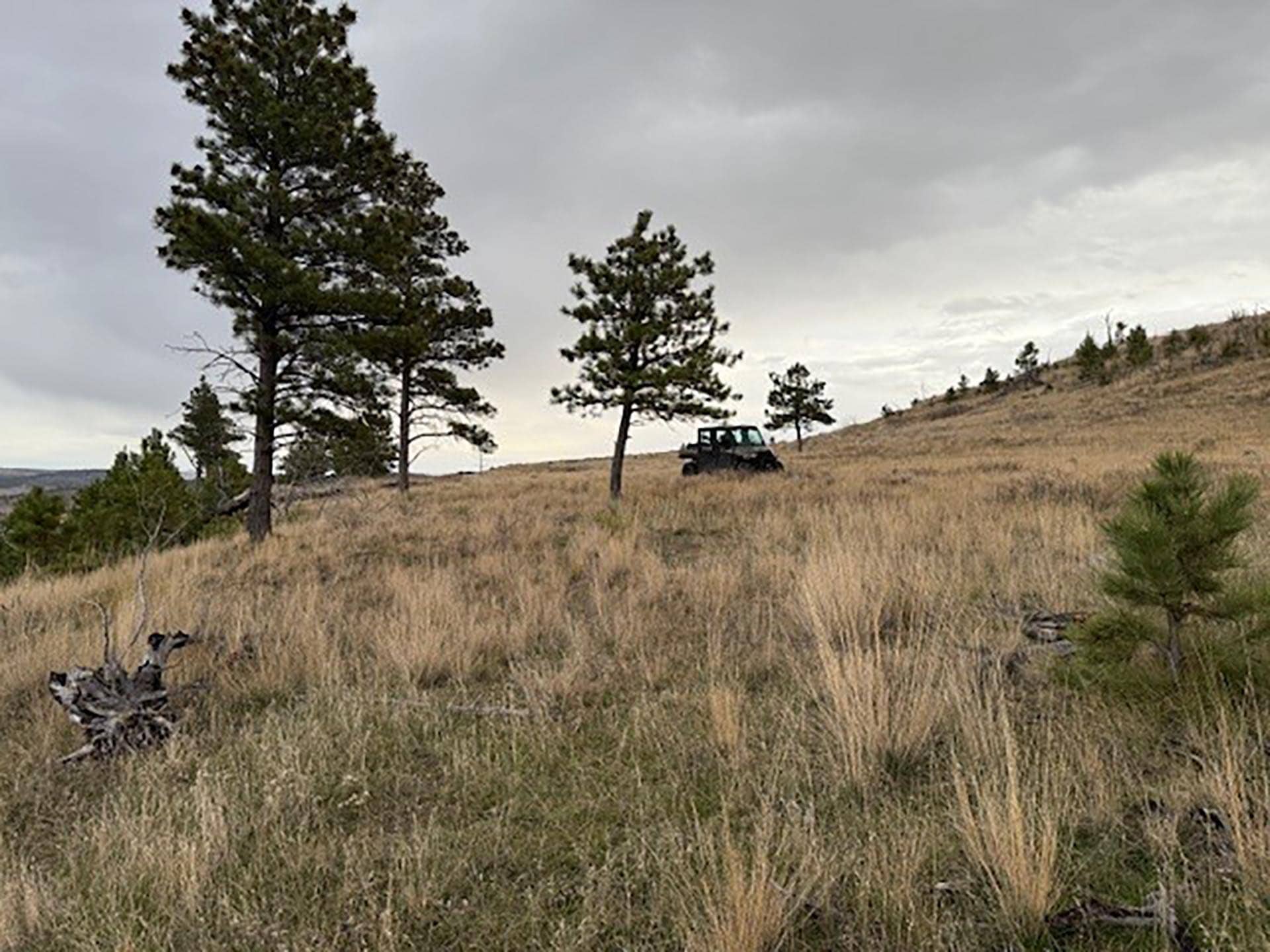 sxs Montana Brumfield Ridge Ranch