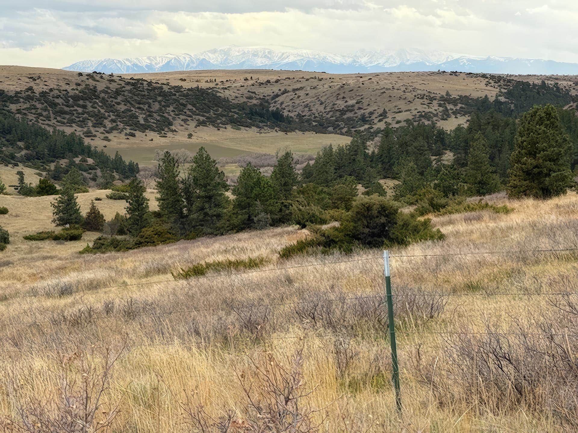 timber and beartooth mtns Montana Brumfield Ridge Ranch