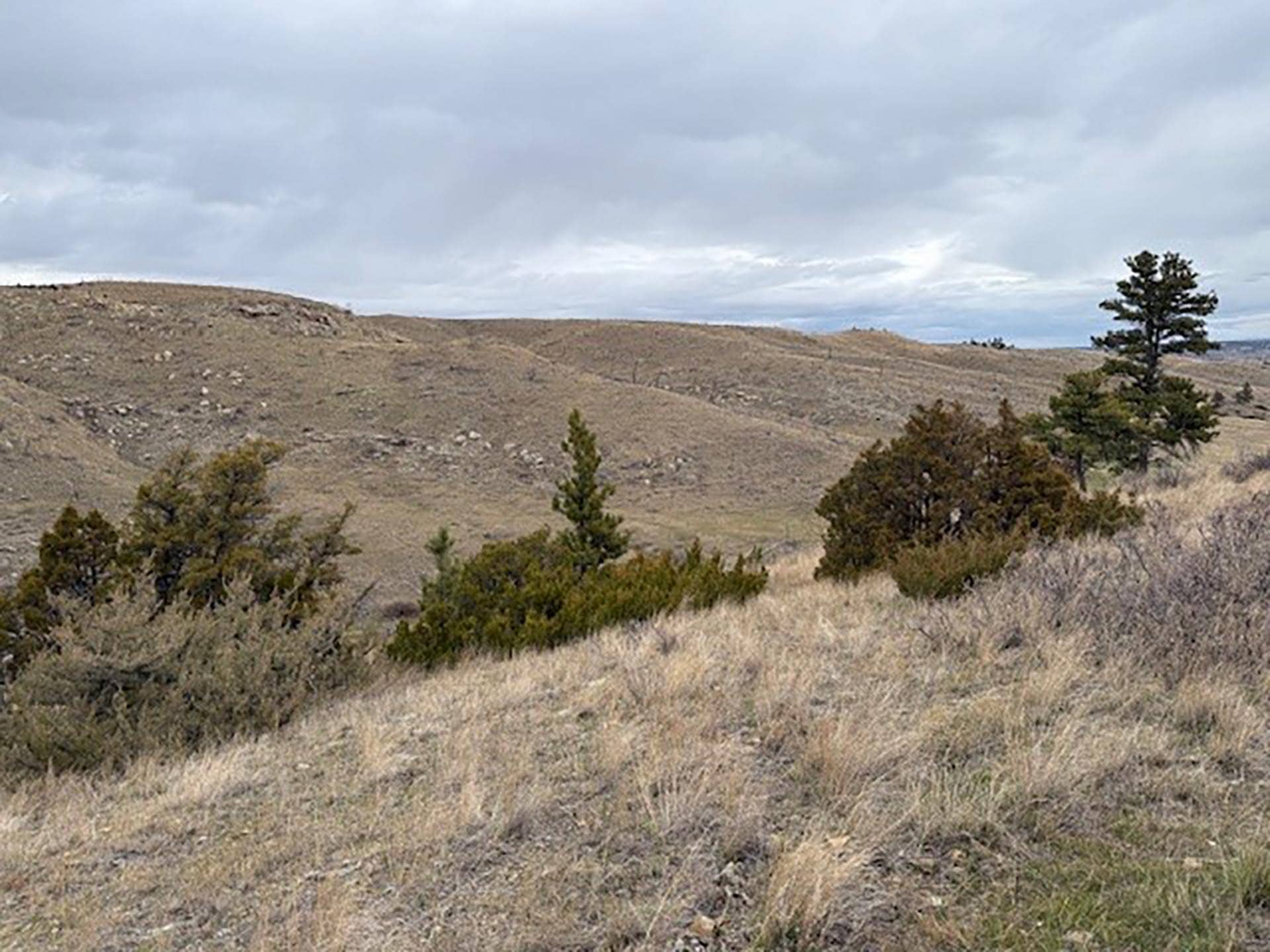 top ranch montana Brumfield Ridge Ranch