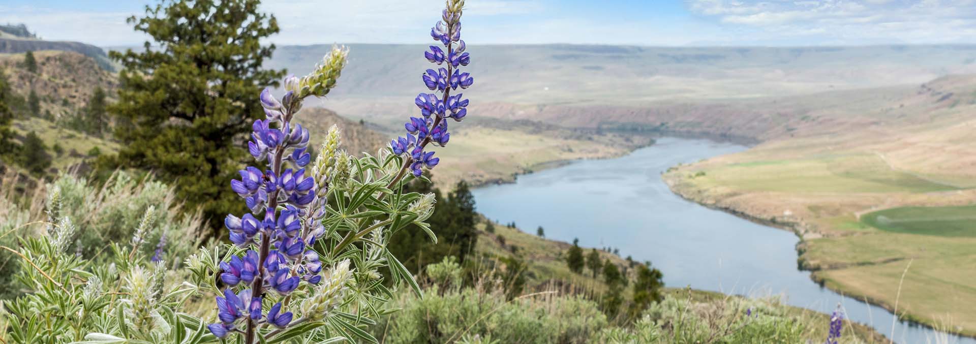 washington property for sale Rilette Springs on the Columbia