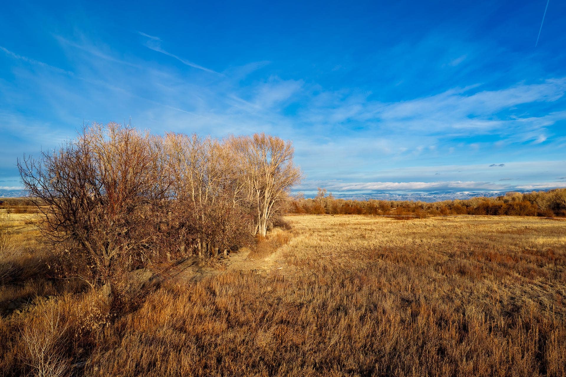 whitetail wyoming shoshone valley versatility land