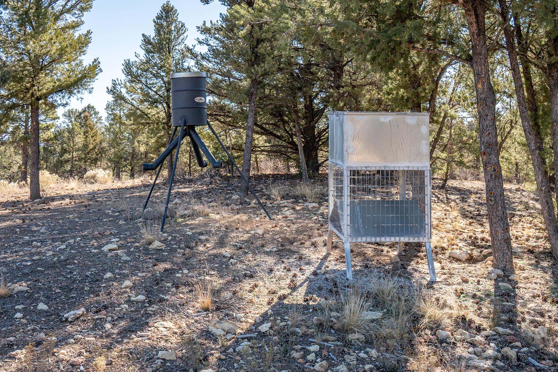 wildlife feeder system utah mammoth ridge muleys