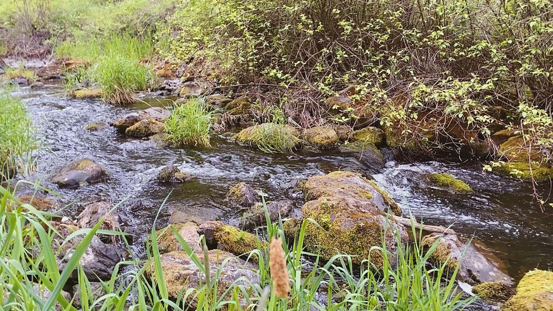streams washington stillwater ranch