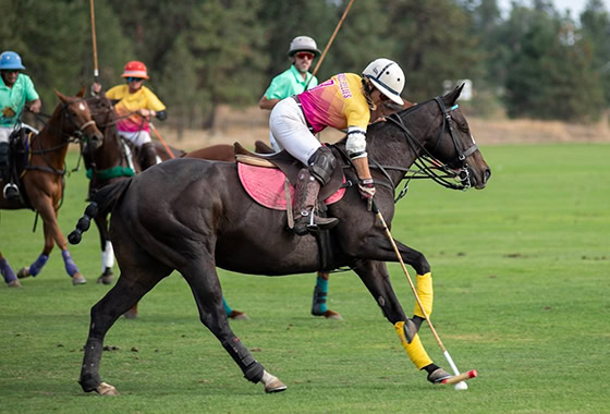 Anna Jamison WA broker polo