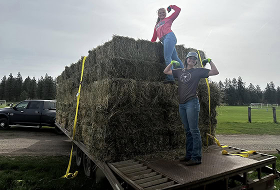 Anna Jamison WA real estate bucking hay