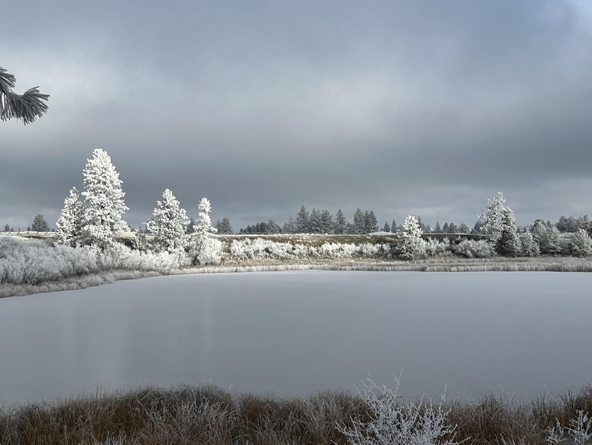 winter on the ranch washington stillwater ranch