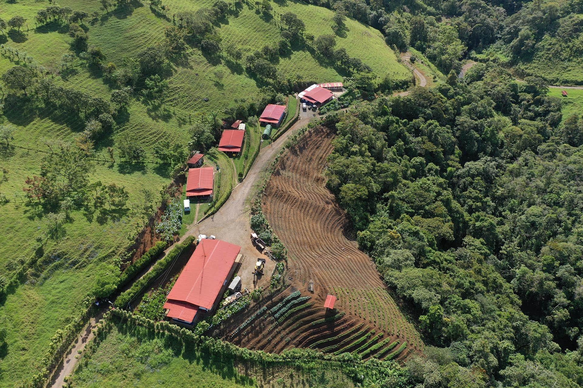 development costa rica globalterra