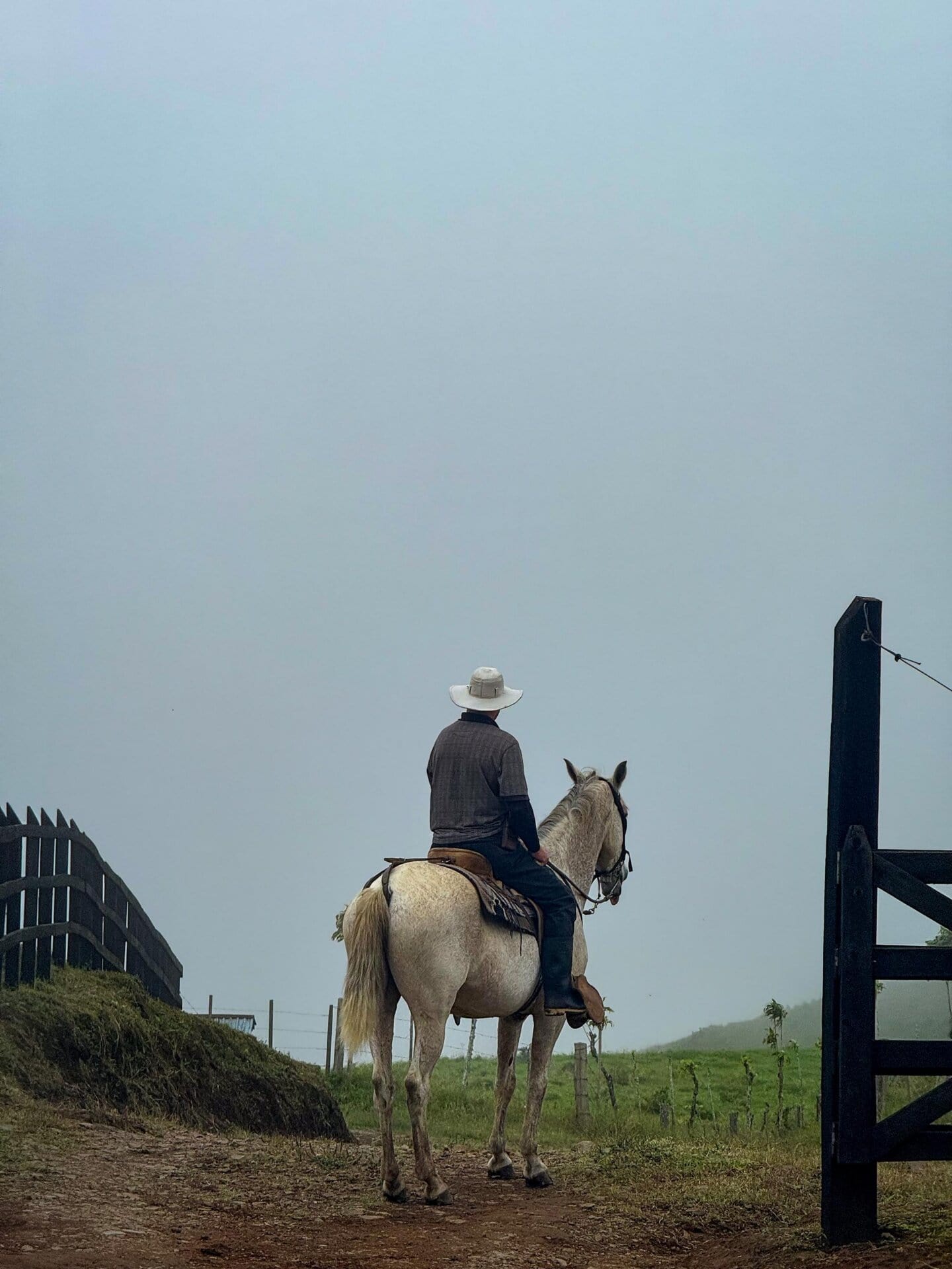 Equestrian Costa Rica GlobalTerra