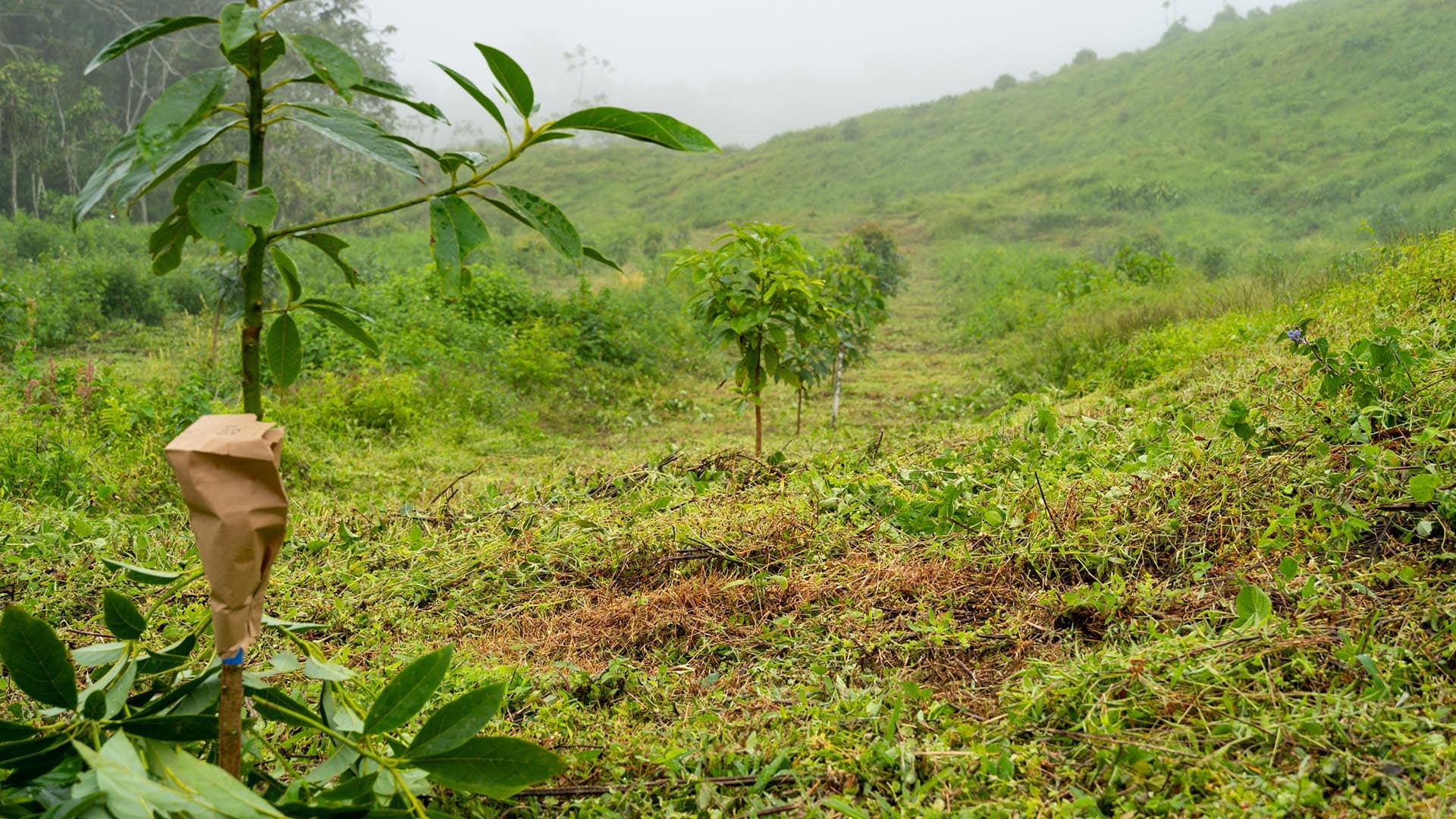 Financing Costa Rica GlobalTerra