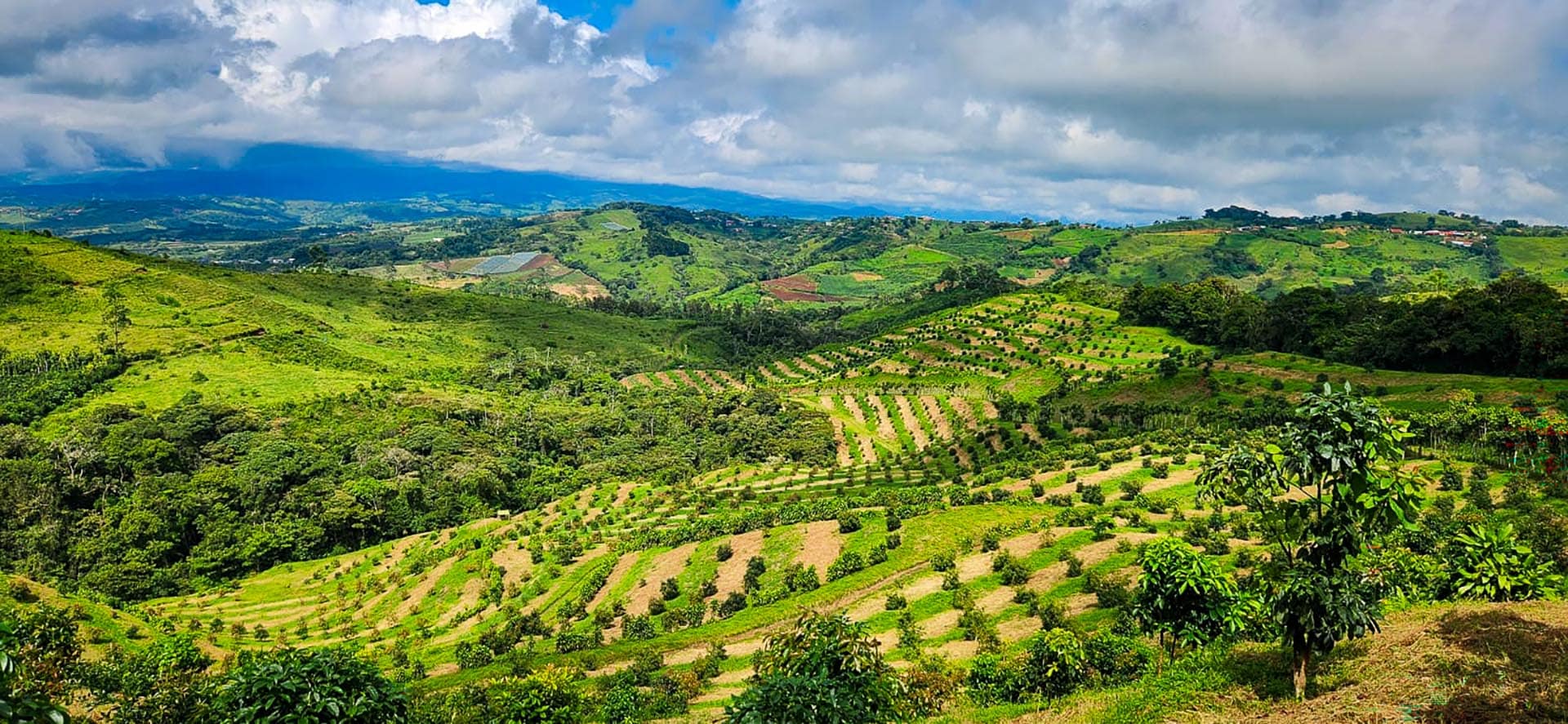 International Costa Rica GlobalTerra