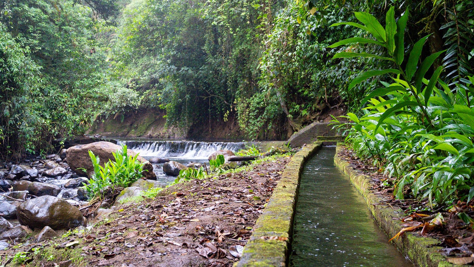 Irrigation Costa Rica GlobalTerra