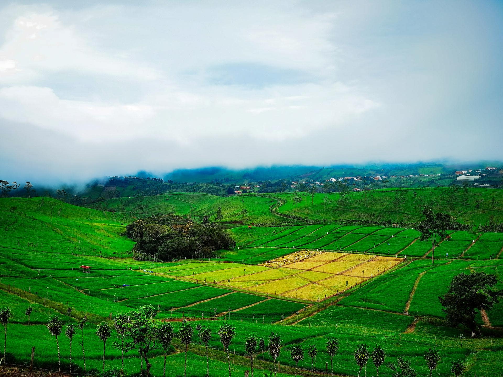 Sale Costa Rica GlobalTerra