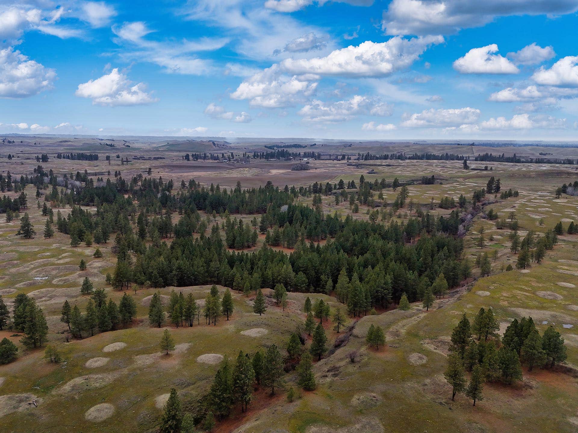 tonto basin washington stillwater ranch