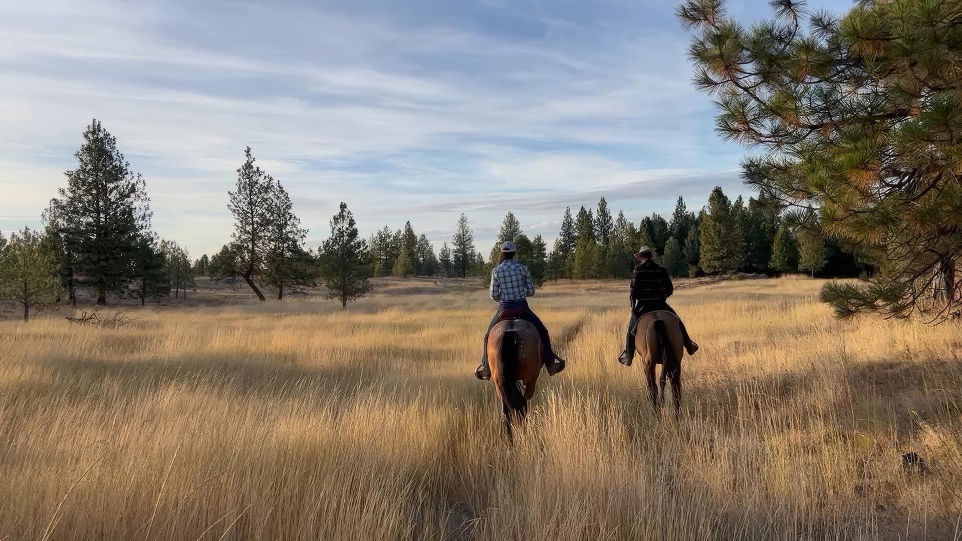 Trail Ride Washington Stillwater Ranch-topaz-upscale-6x