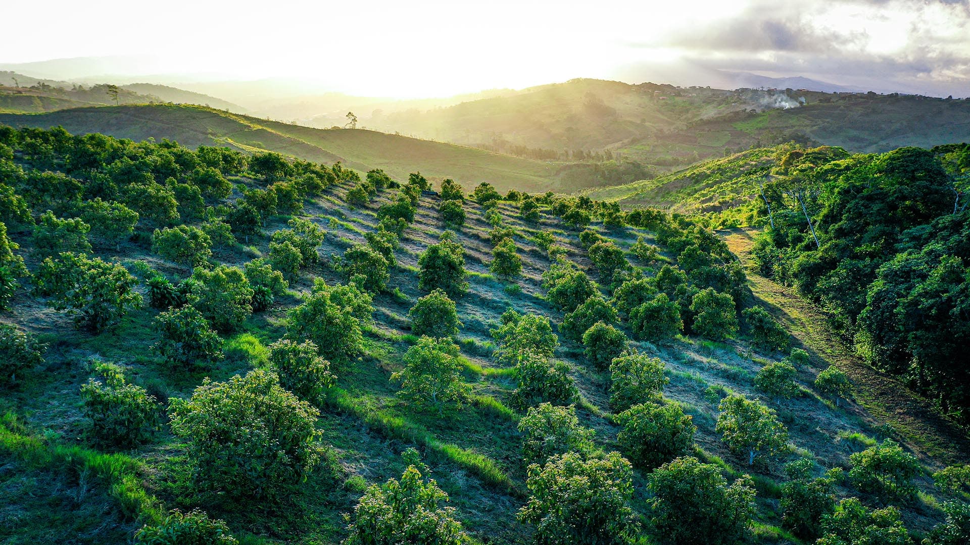 vista costa rica globalterra