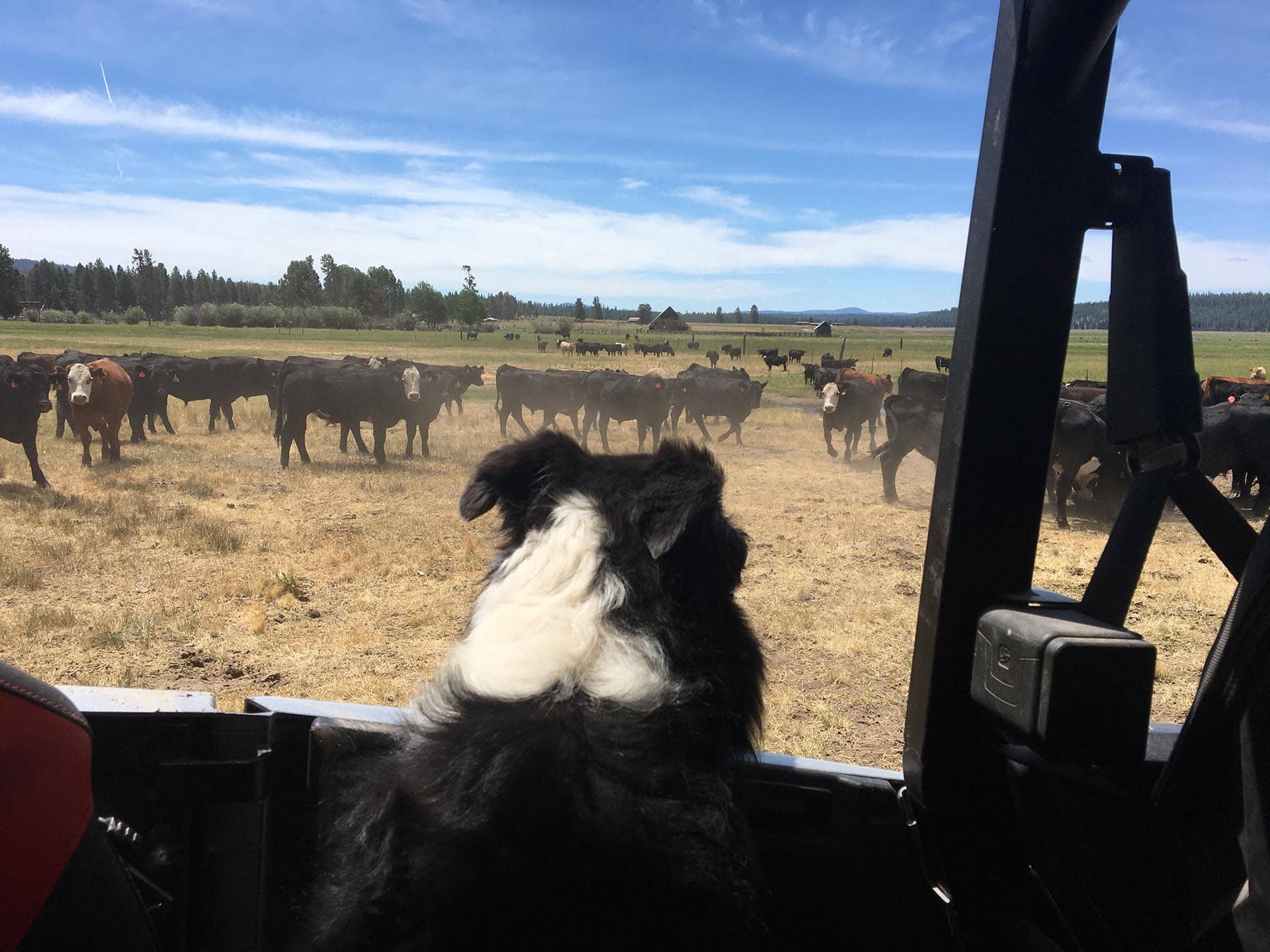 ag land oregon jackson creek ranch