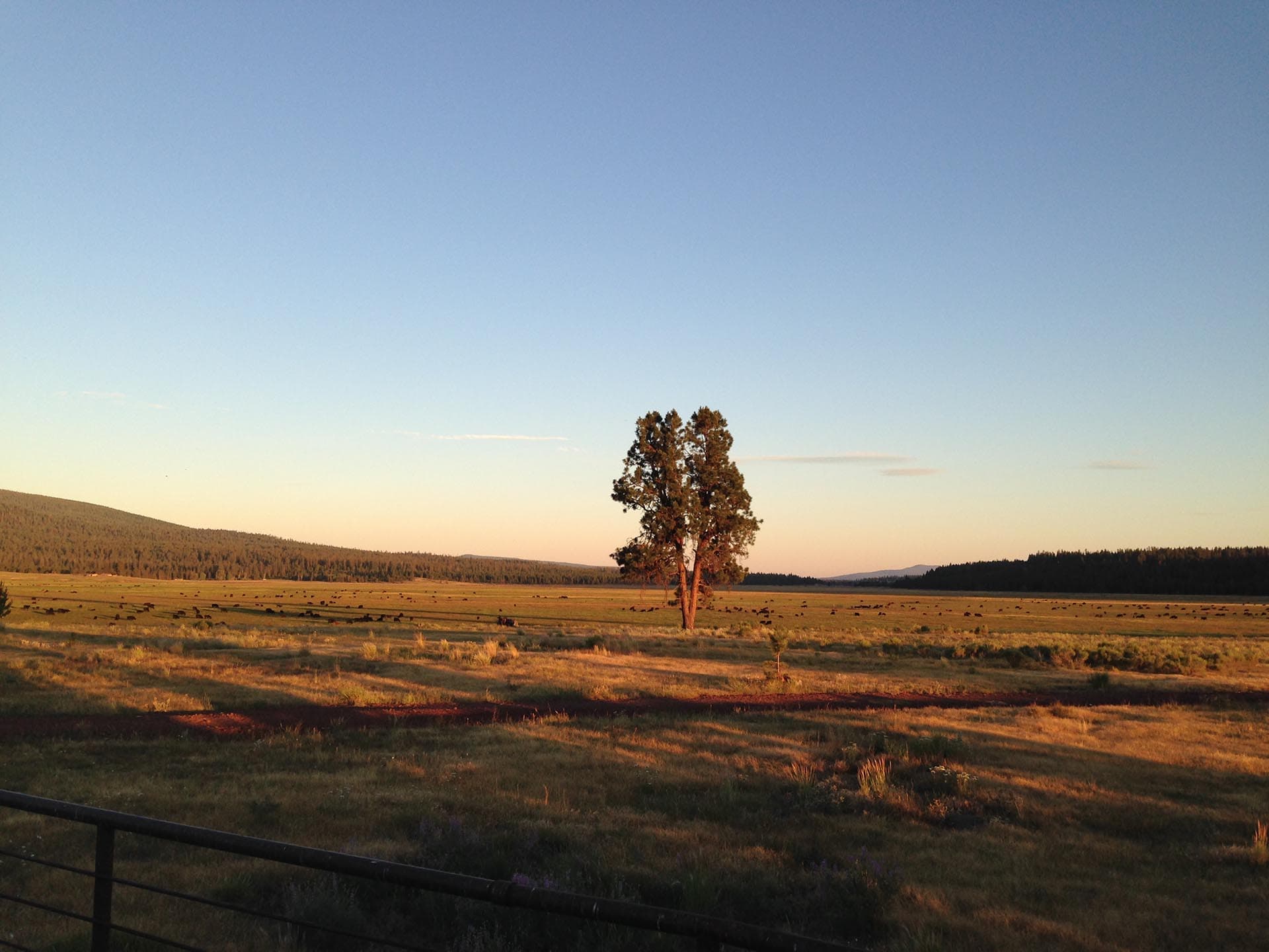 ag production property for sale oregon jackson creek ranch