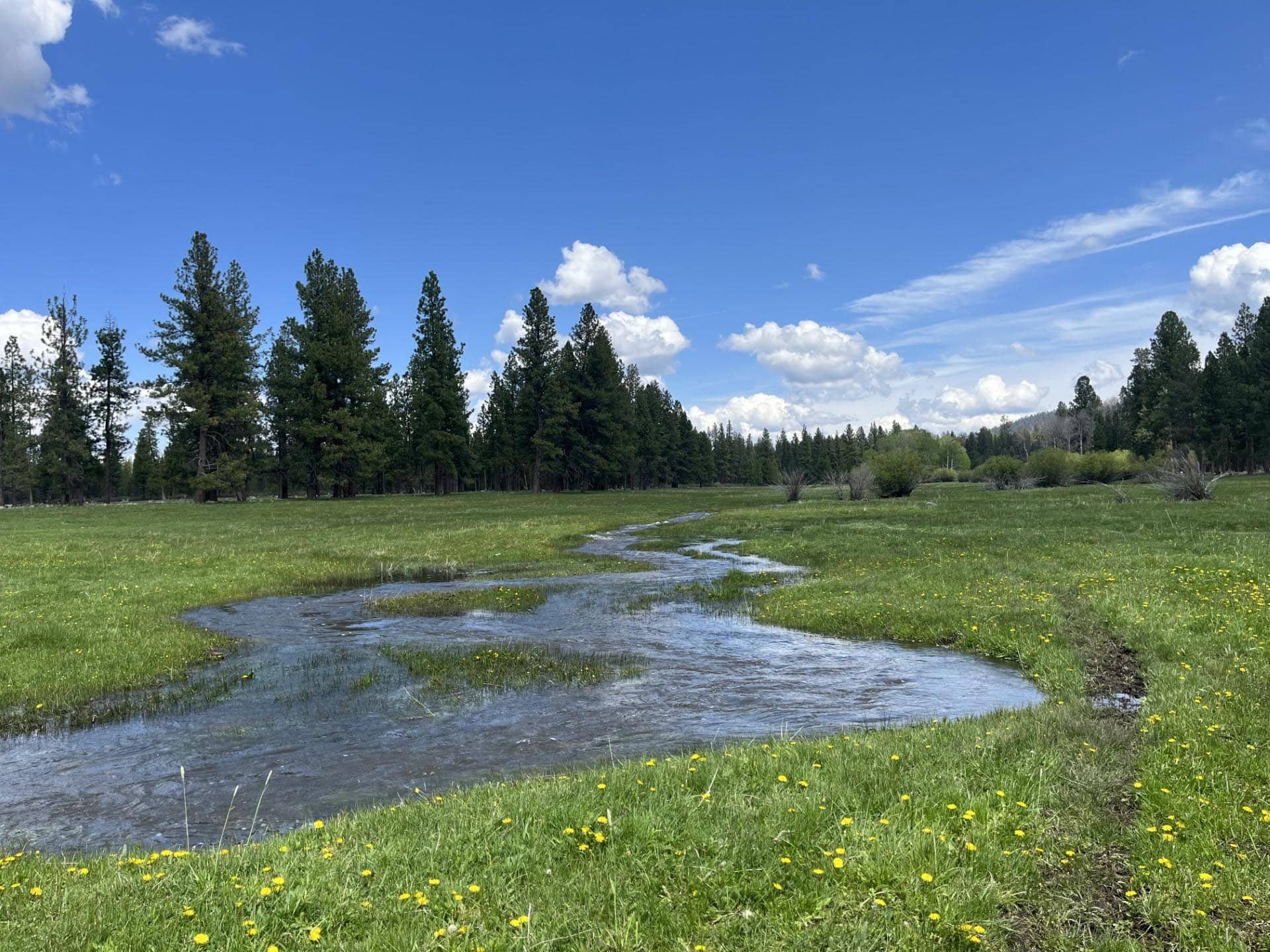 agricultural production land oregon jackson creek ranch