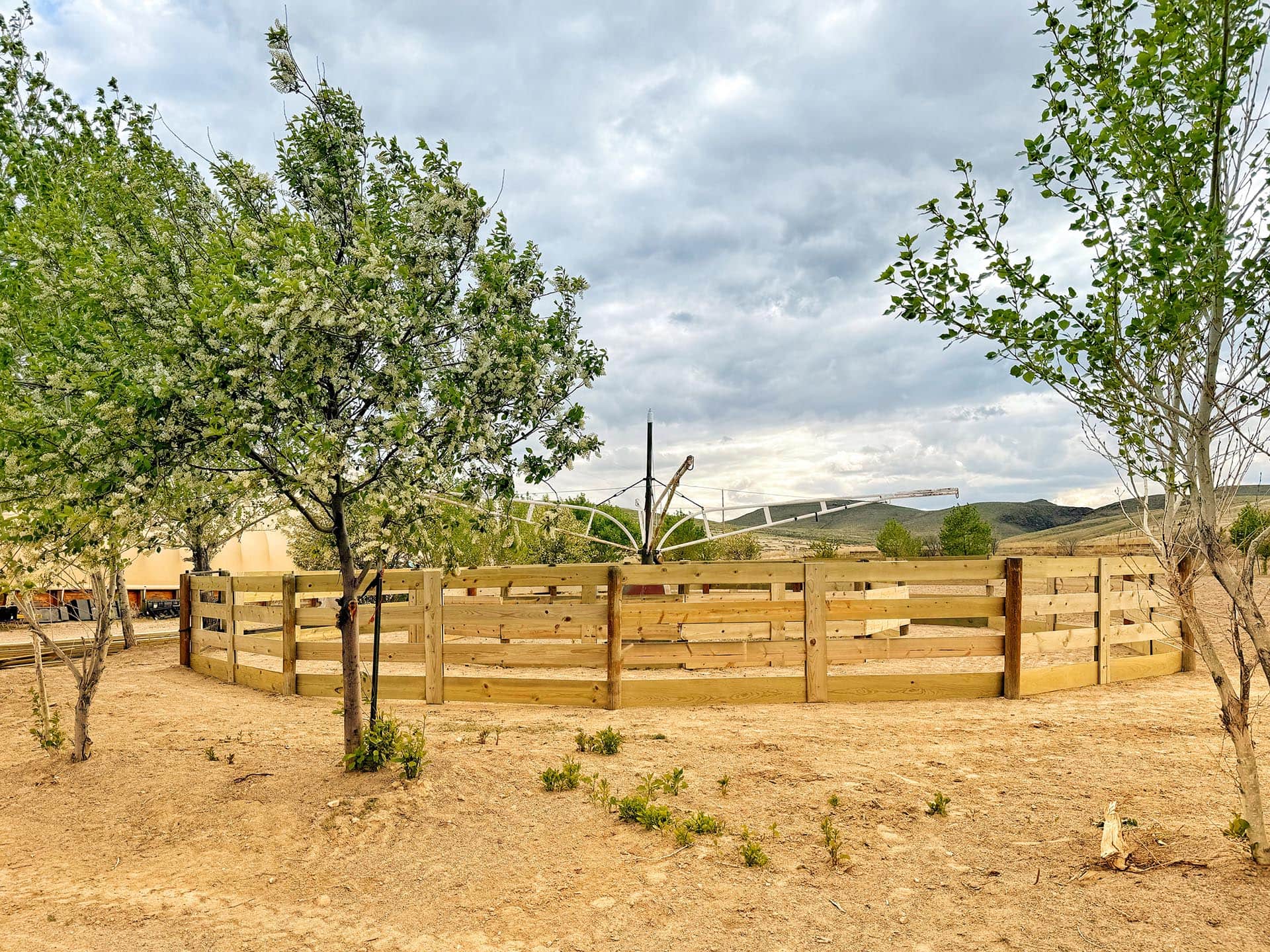 beautiful round pen montana oliver performance horse facility
