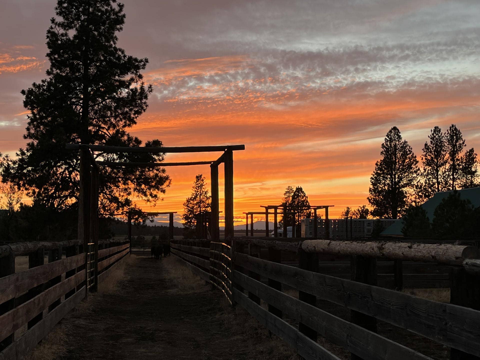 beautiful sunset oregon jackson creek ranch