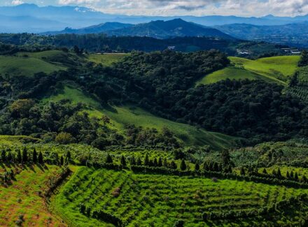 costa rica ranches for sale the globalterra