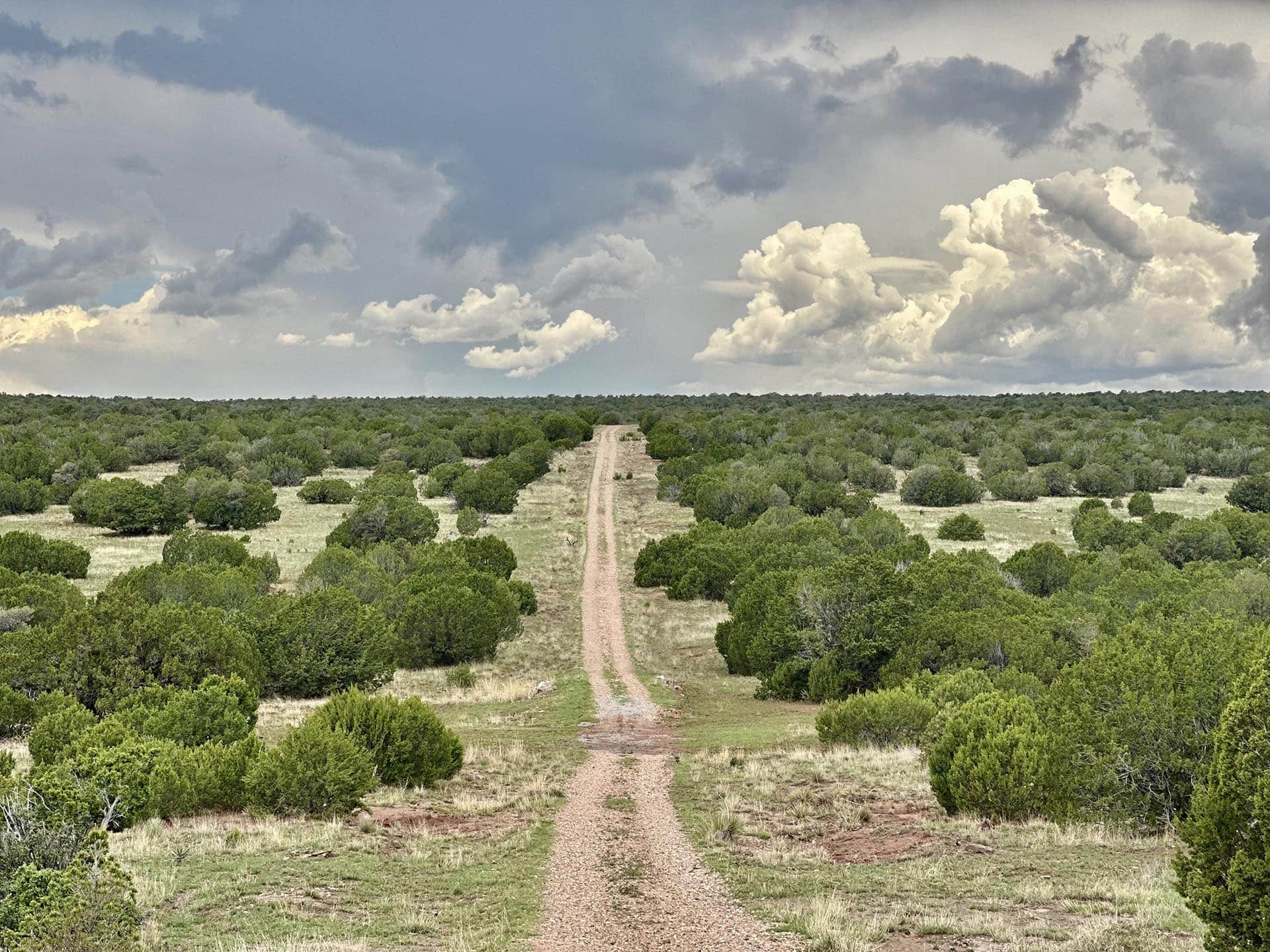dirt road New Mexico rancho el patron