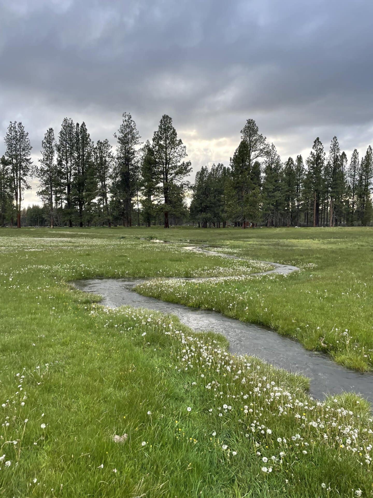 farms for sale oregon jackson creek ranch