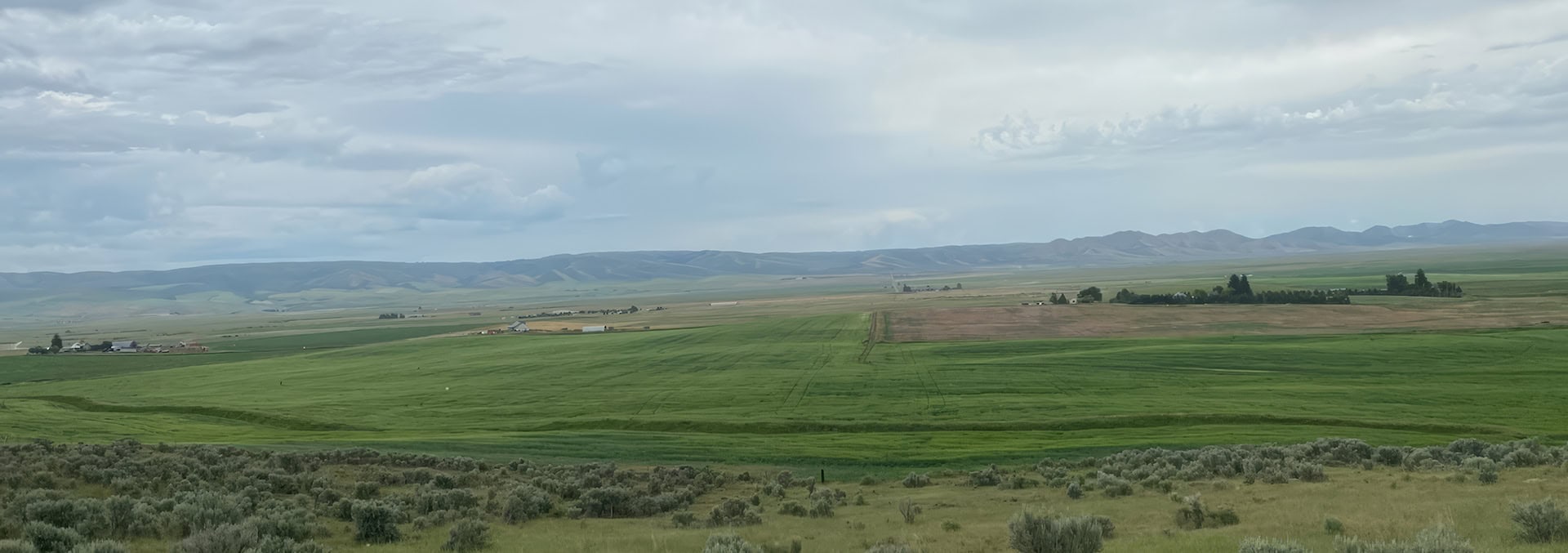 idaho land for sale chesterfield pivots