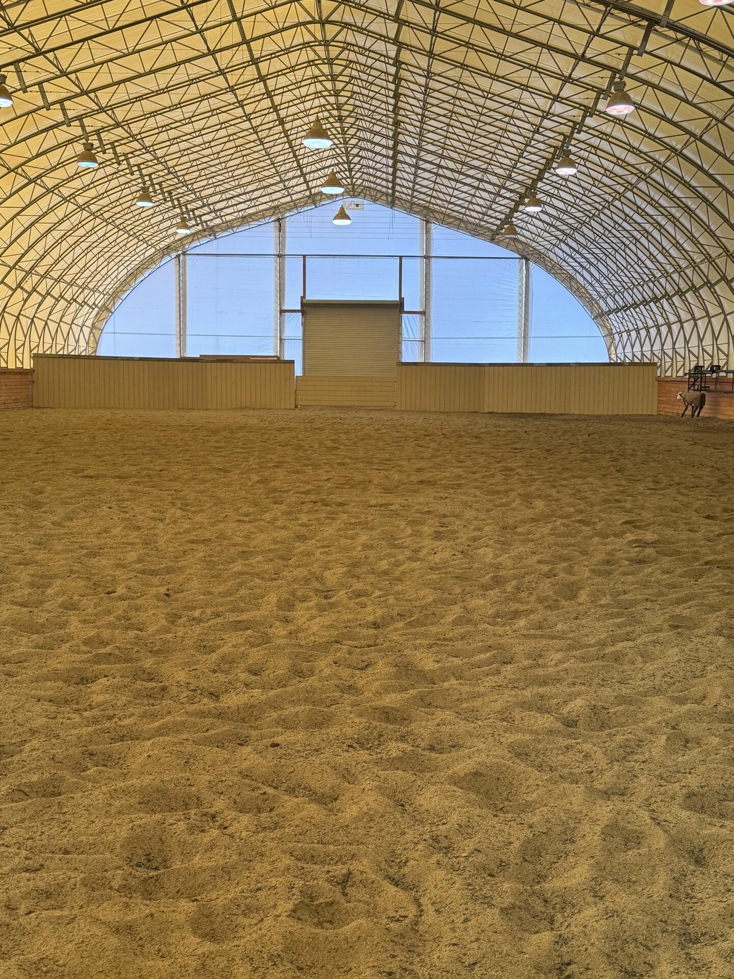 inside areana montana oliver performance horse facility