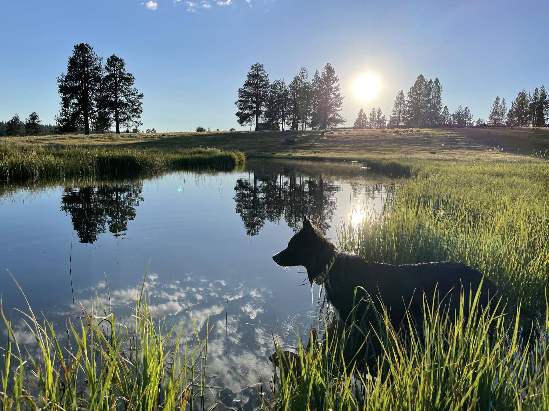 land with irrigation oregon jackson creek ranch