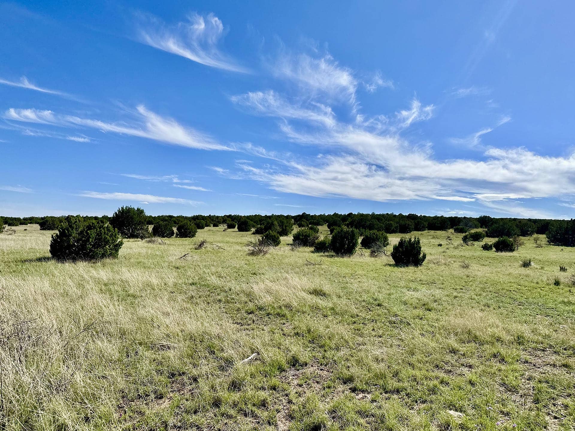 landscape view new mexico rancho el patron