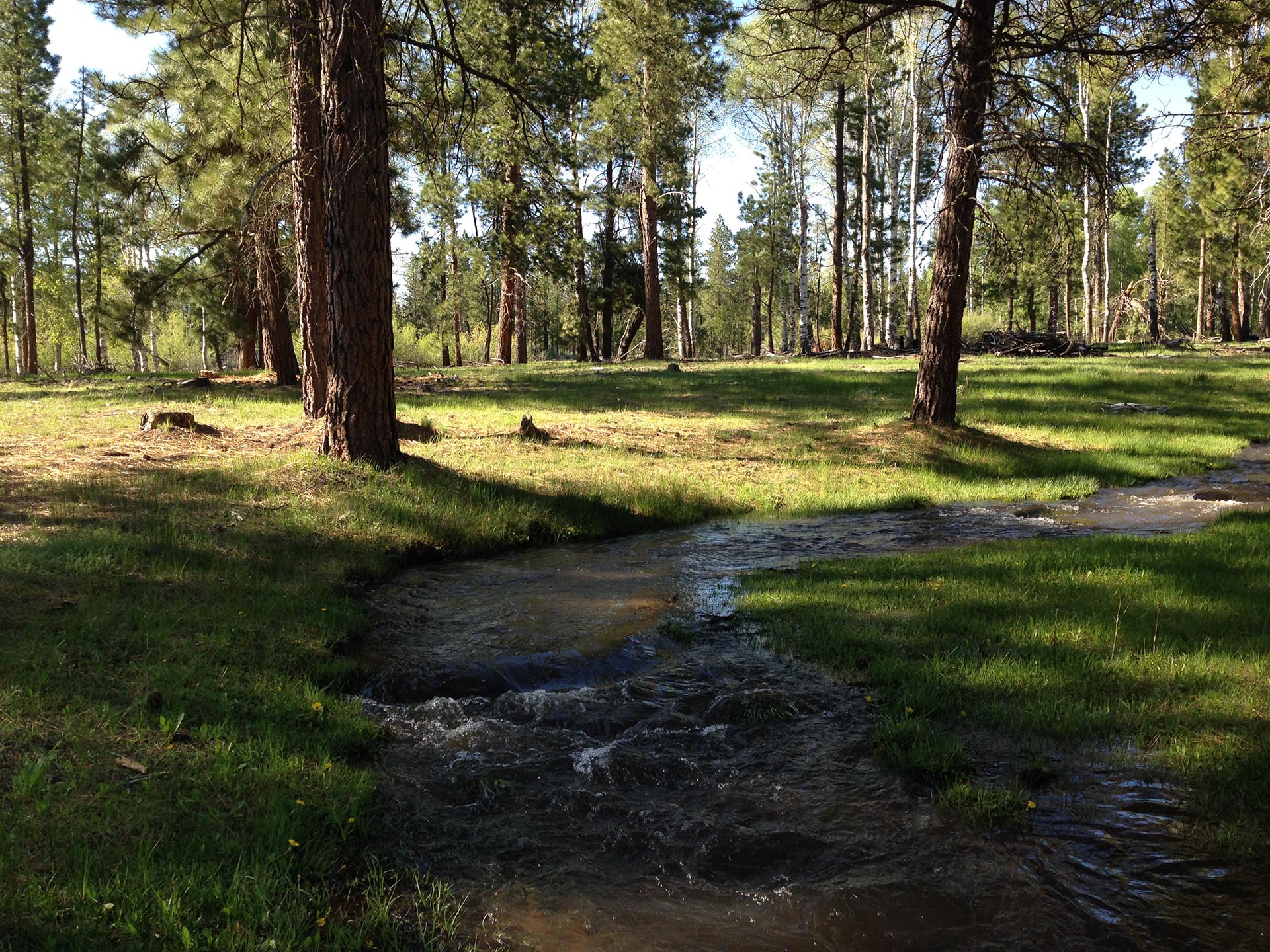 large acreage for sale near me oregon jackson creek ranch