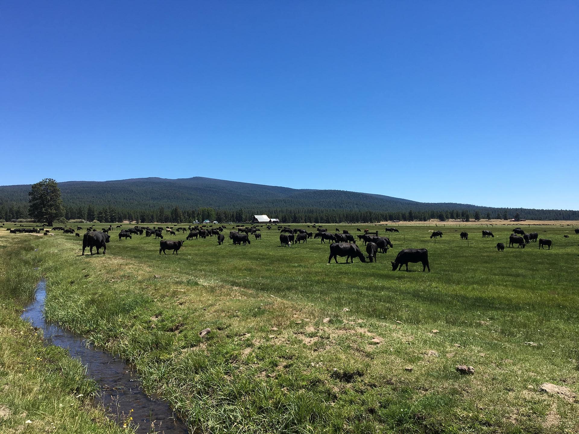 large farms for sale oregon jackson creek ranch