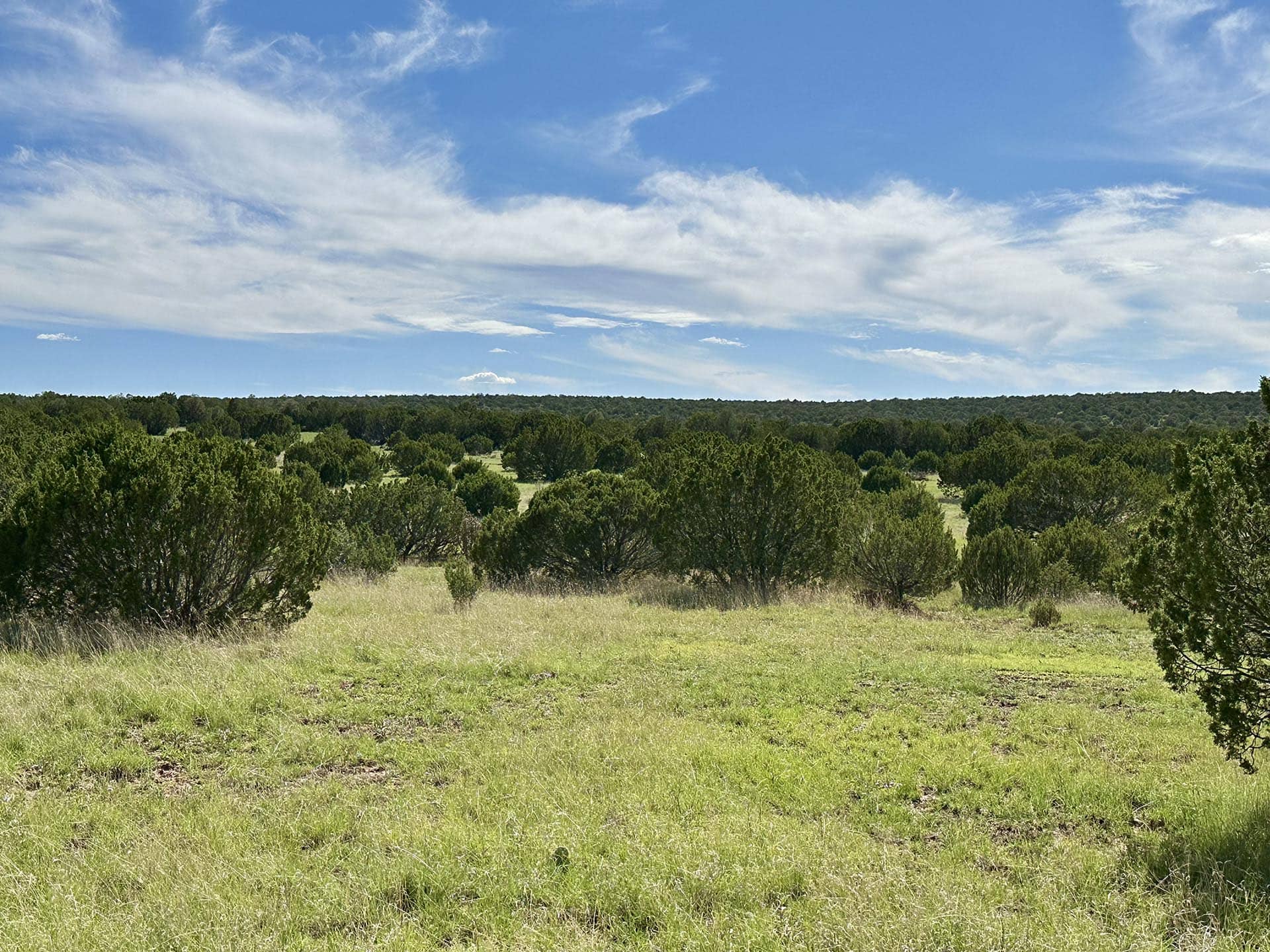 mesquite new mexico rancho el patron
