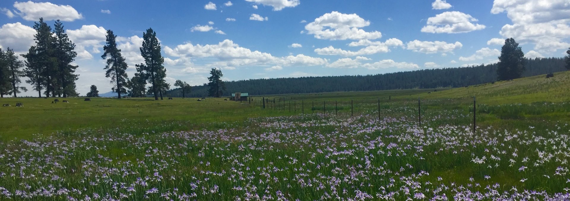 oregon land for sale jackson creek ranch