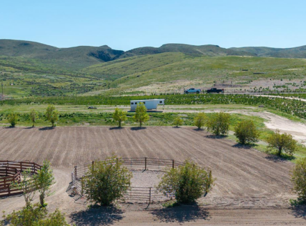 outdoor arena montana oliver performance horse facility