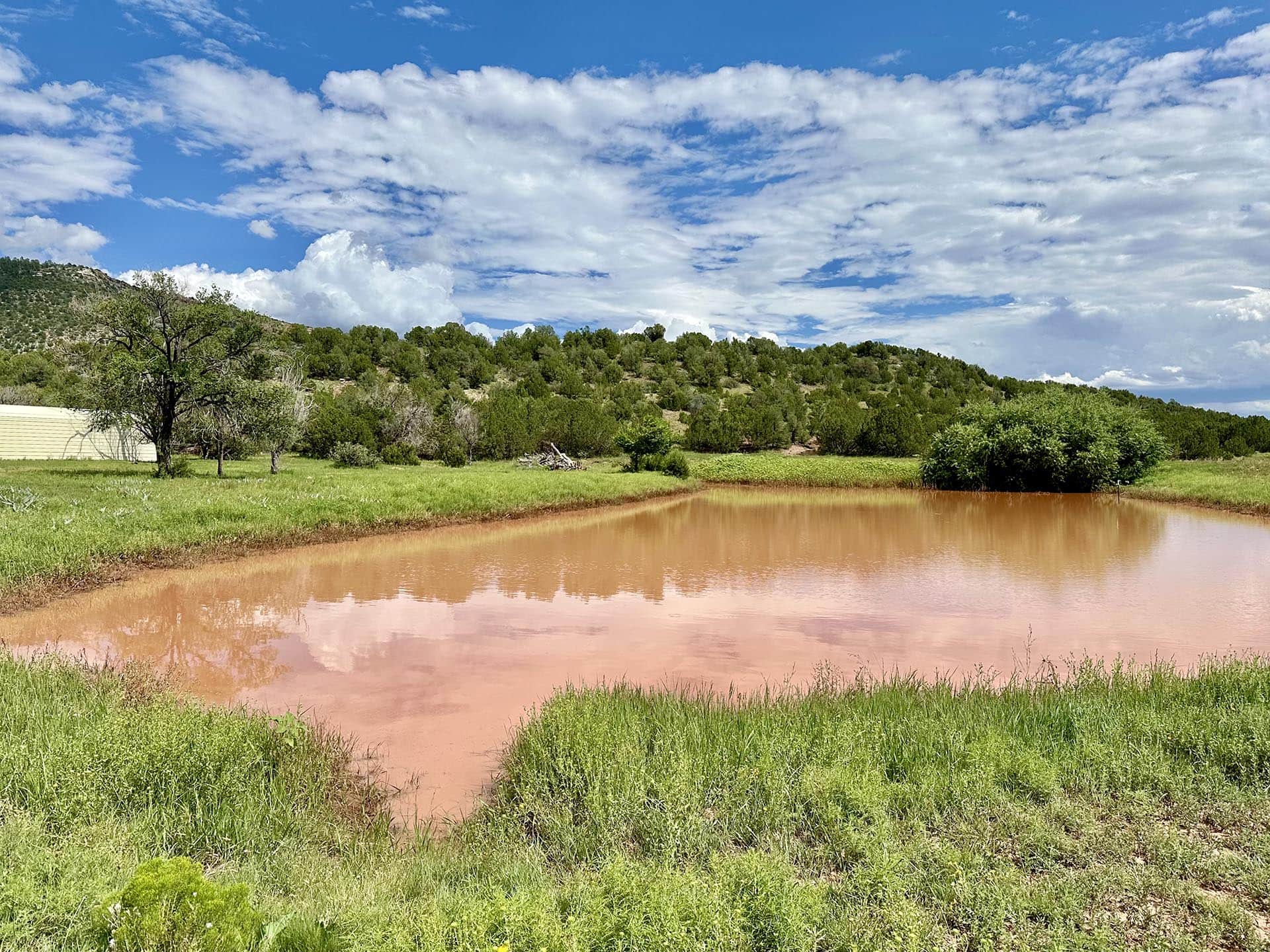 playa lake and trees new mexico rancho el patron