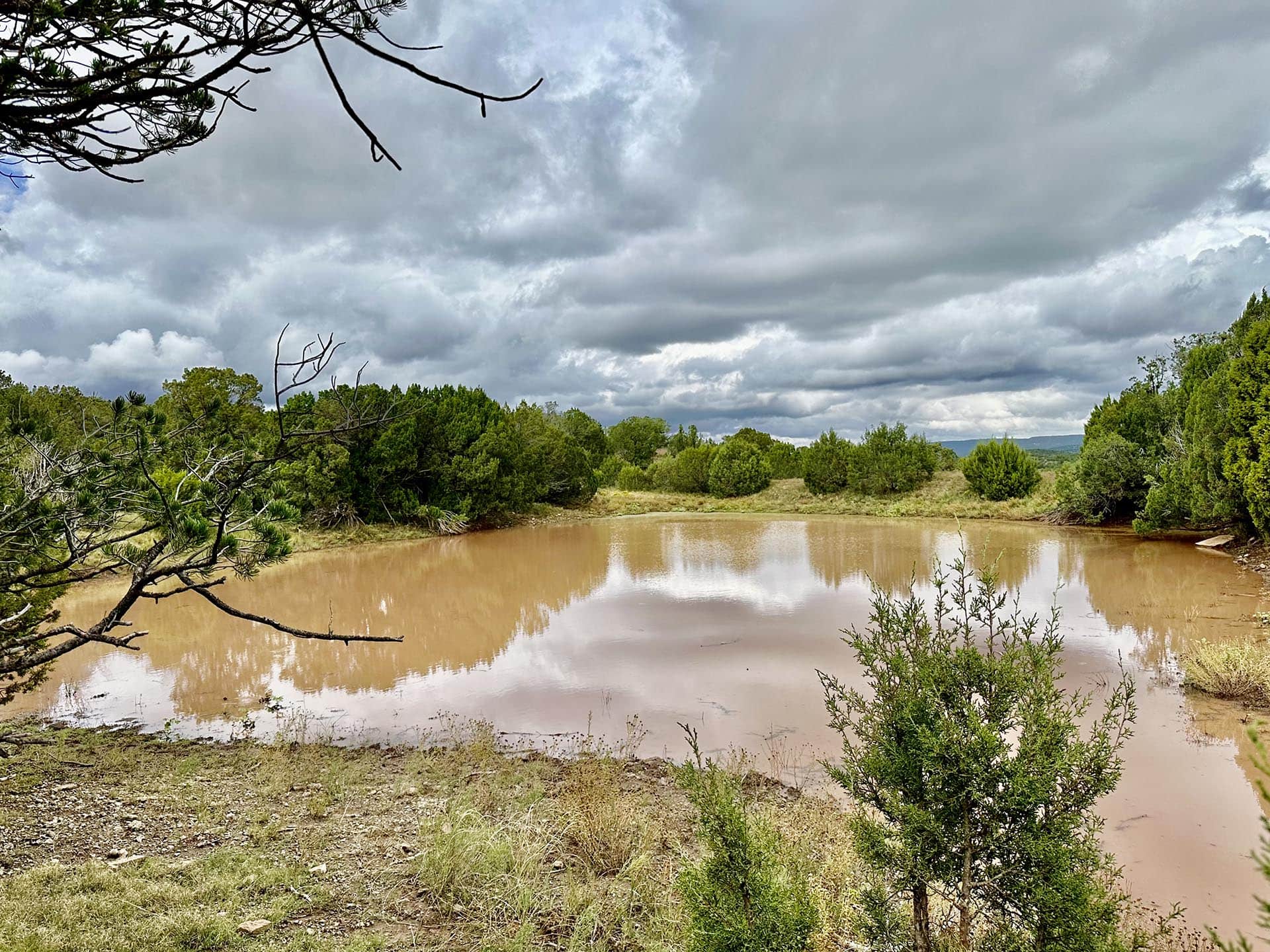 playa lake new mexico rancho el patron