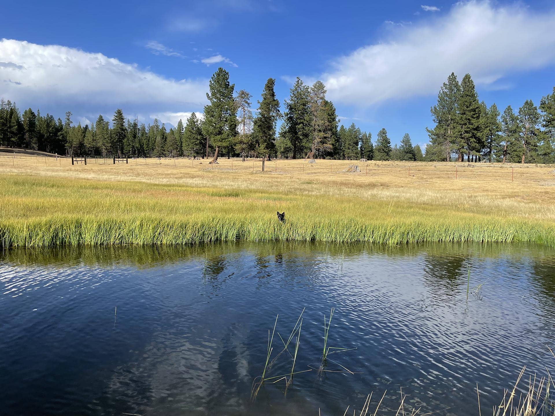 ranch for sale oregon jackson creek ranch