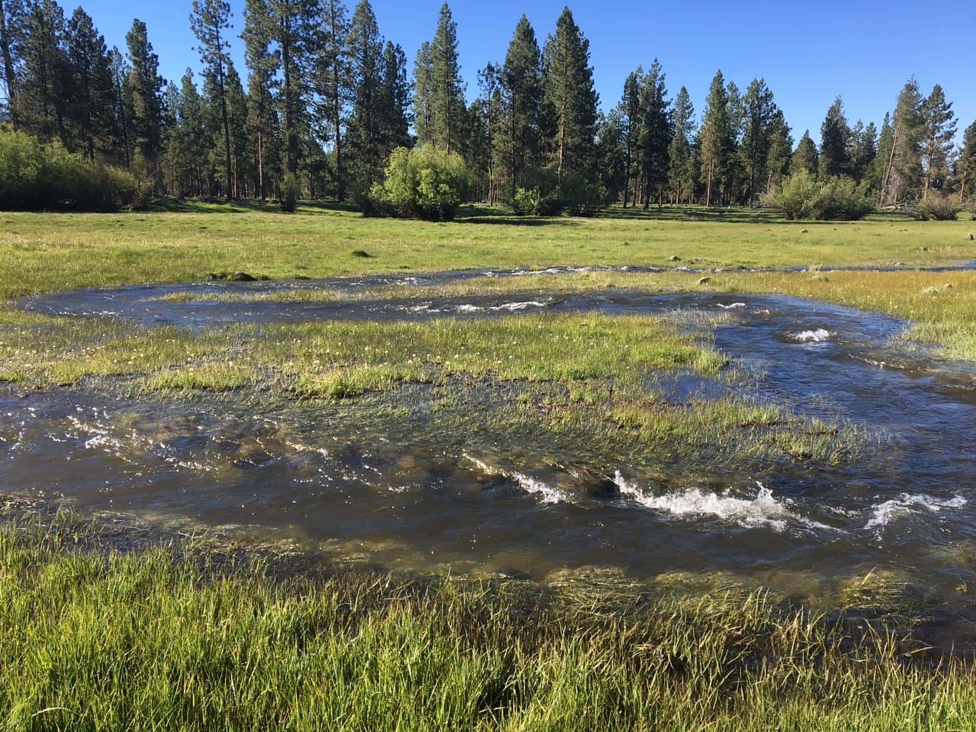 ranch with water rights oregon jackson creek ranch