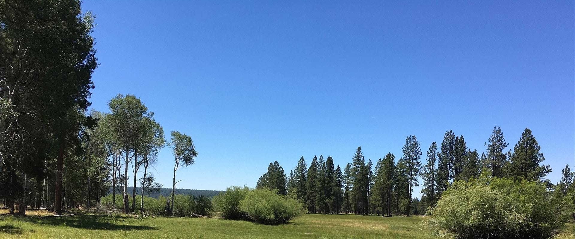 small farms for sale oregon jackson creek ranch